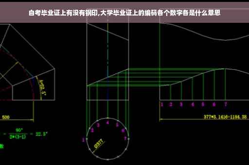 自考毕业证上有没有钢印,大学毕业证上的编码各个数字各是什么意思