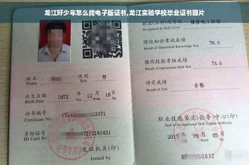 龙江好少年怎么找电子版证书,龙江实验学校毕业证书图片