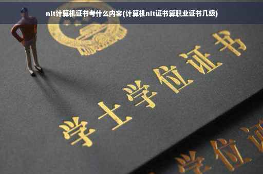 nit计算机证书考什么内容(计算机nit证书算职业证书几级)