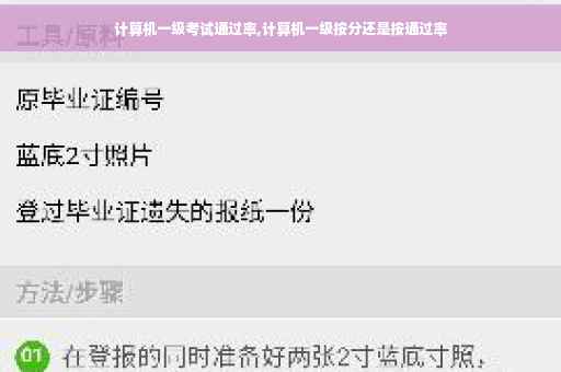 计算机一级考试通过率,计算机一级按分还是按通过率