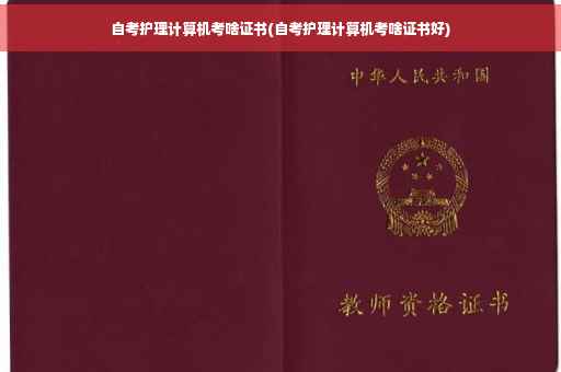 自考护理计算机考啥证书(自考护理计算机考啥证书好)
