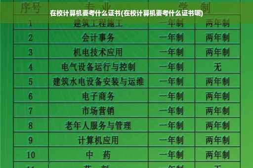 在校计算机要考什么证书(在校计算机要考什么证书呢)