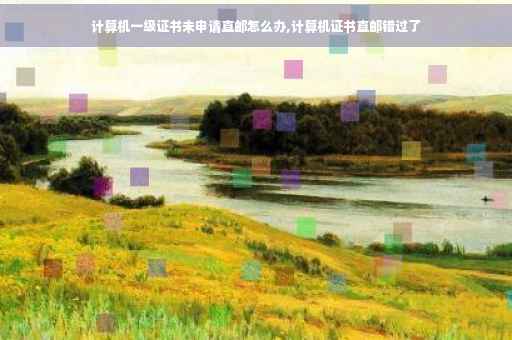 计算机一级证书未申请直邮怎么办,计算机证书直邮错过了