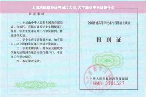 上海应届毕业证书图片大全,大学毕业生三证是什么