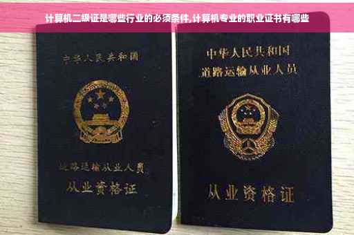 计算机二级证是哪些行业的必须条件,计算机专业的职业证书有哪些
