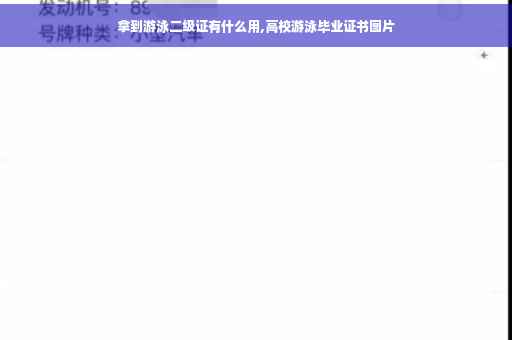 拿到游泳二级证有什么用,高校游泳毕业证书图片