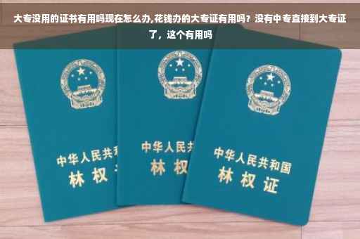 大专没用的证书有用吗现在怎么办,花钱办的大专证有用吗？没有中专直接到大专证了，这个有用吗