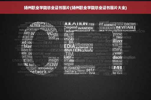 扬州职业学院毕业证书图片(扬州职业学院毕业证书图片大全)