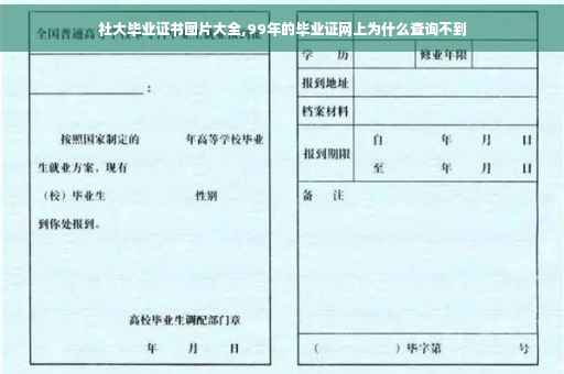 社大毕业证书图片大全,99年的毕业证网上为什么查询不到