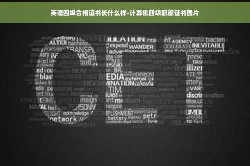 英语四级合格证书长什么样-计算机四级职称证书图片
