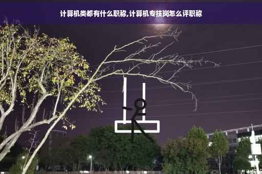 计算机类都有什么职称,计算机专技岗怎么评职称