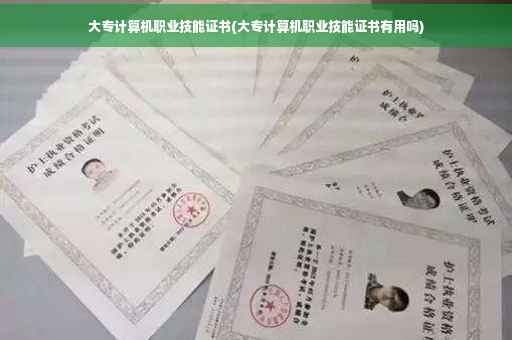 大专计算机职业技能证书(大专计算机职业技能证书有用吗)