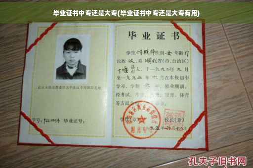 毕业证书中专还是大专(毕业证书中专还是大专有用)