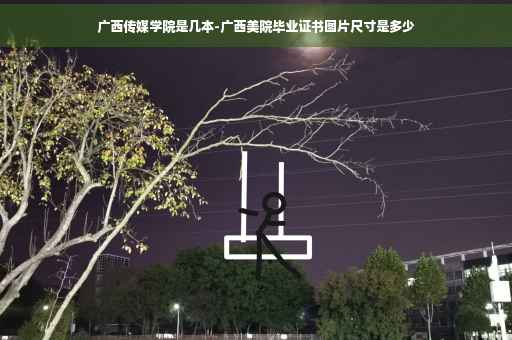 广西传媒学院是几本-广西美院毕业证书图片尺寸是多少