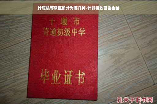 计算机等级证都分为哪几种-计算机软著含金量