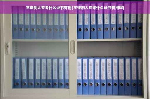 学徒制大专考什么证书有用(学徒制大专考什么证书有用呢)