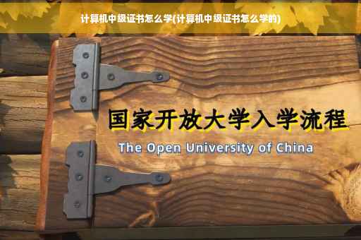 计算机中级证书怎么学(计算机中级证书怎么学的)