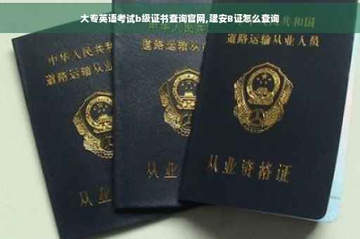 大专英语考试b级证书查询官网,建安B证怎么查询