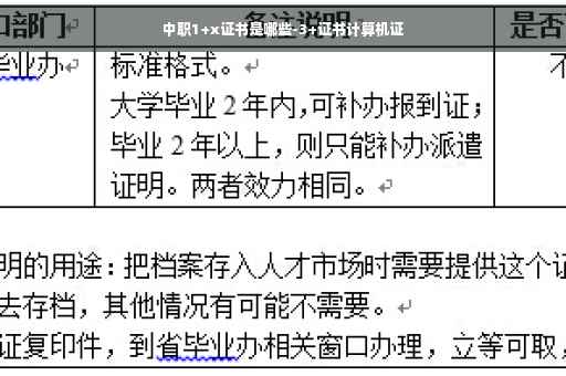 中职1+x证书是哪些-3+证书计算机证