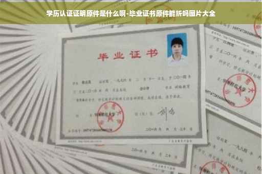 学历认证证明原件是什么啊-毕业证书原件能折吗图片大全