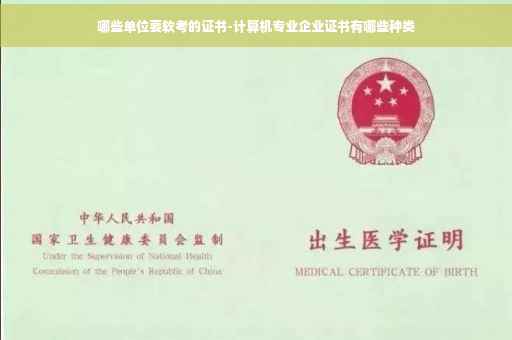 哪些单位要软考的证书-计算机专业企业证书有哪些种类