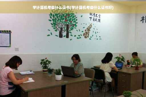 学计算机考些什么证书(学计算机考些什么证书好)