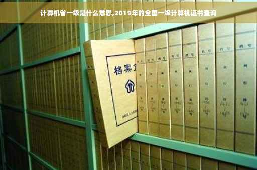 计算机省一级是什么意思,2019年的全国一级计算机证书查询