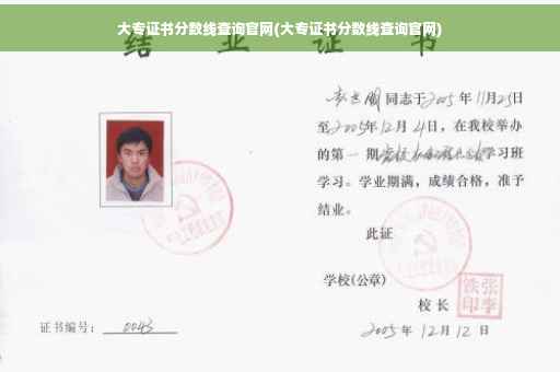大专证书分数线查询官网(大专证书分数线查询官网)