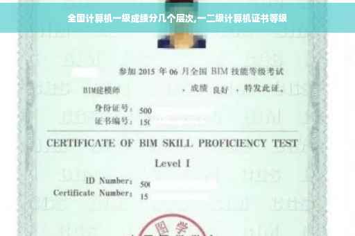 全国计算机一级成绩分几个层次,一二级计算机证书等级