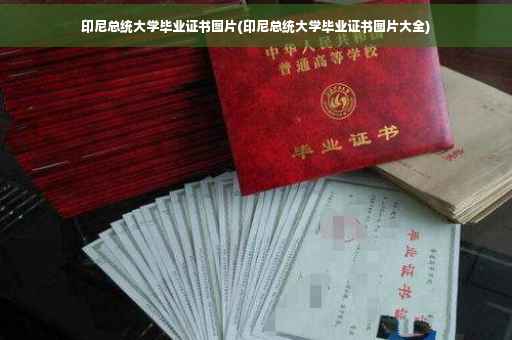 印尼总统大学毕业证书图片(印尼总统大学毕业证书图片大全)