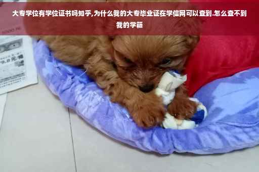 大专学位有学位证书吗知乎,为什么我的大专毕业证在学信网可以查到.怎么查不到我的学籍