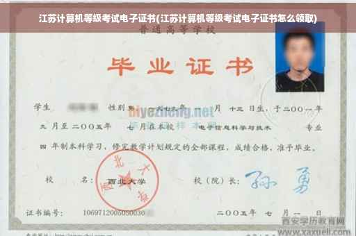 江苏计算机等级考试电子证书(江苏计算机等级考试电子证书怎么领取)