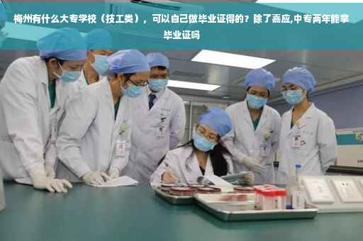 梅州有什么大专学校（技工类），可以自己做毕业证得的？除了嘉应,中专两年能拿毕业证吗