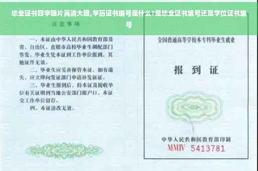 毕业证书四字图片高清大图,学历证书编号是什么?是毕业证书编号还是学位证书编号