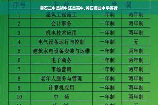 黄石三中是初中还是高中,黄石哪些中学寄读