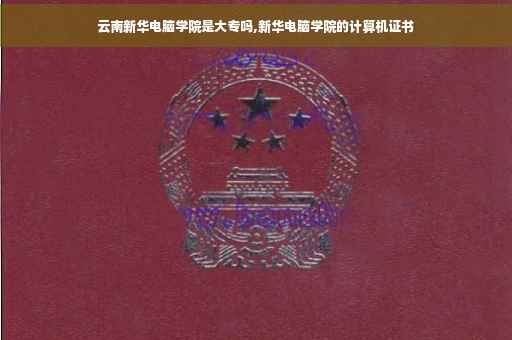 云南新华电脑学院是大专吗,新华电脑学院的计算机证书