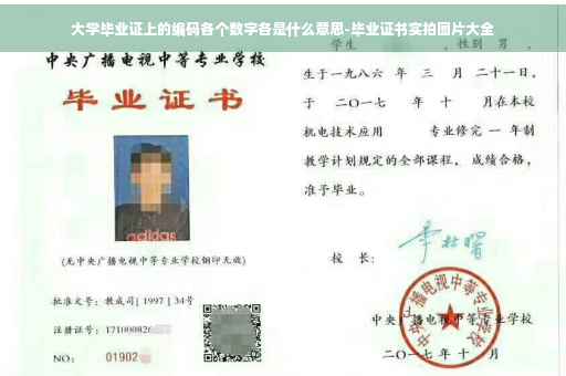 大学毕业证上的编码各个数字各是什么意思-毕业证书实拍图片大全