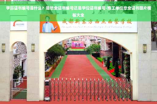 学历证书编号是什么？是毕业证书编号还是学位证书编号-施工单位毕业证书图片模板大全
