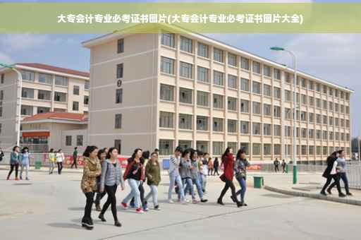 大专会计专业必考证书图片(大专会计专业必考证书图片大全)