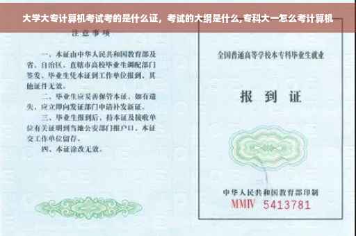 大学大专计算机考试考的是什么证，考试的大纲是什么,专科大一怎么考计算机