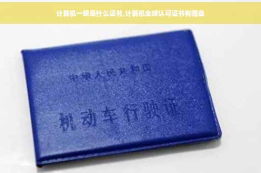 计算机一级是什么证书,计算机全球认可证书有哪些