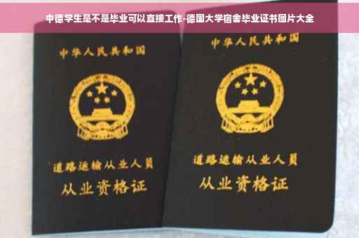中德学生是不是毕业可以直接工作-德国大学宿舍毕业证书图片大全