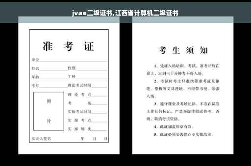 jvae二级证书,江西省计算机二级证书