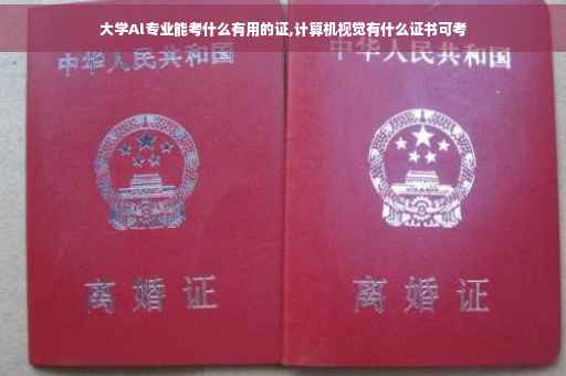 大学Al专业能考什么有用的证,计算机视觉有什么证书可考