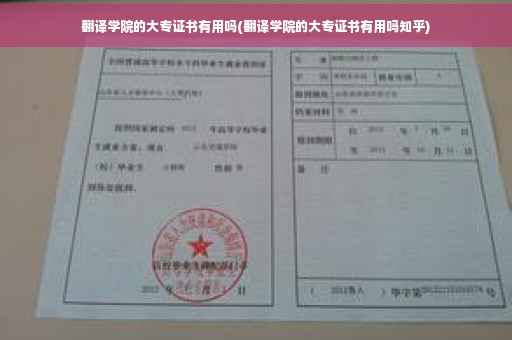 翻译学院的大专证书有用吗(翻译学院的大专证书有用吗知乎)