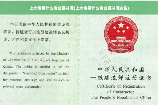 上大专要什么专业证书呢(上大专要什么专业证书呢女生)