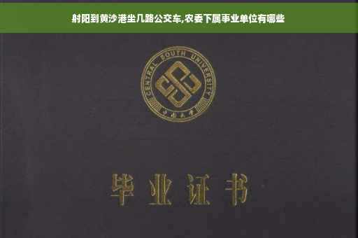 射阳到黄沙港坐几路公交车,农委下属事业单位有哪些