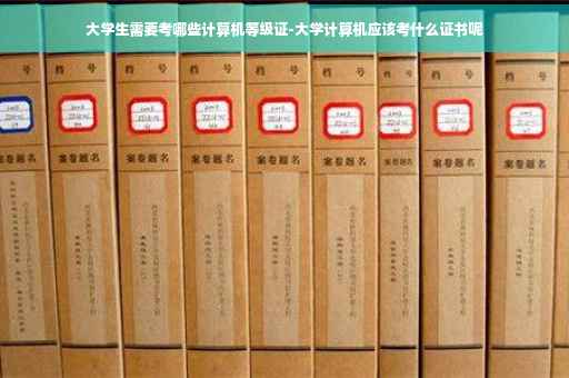 大学生需要考哪些计算机等级证-大学计算机应该考什么证书呢