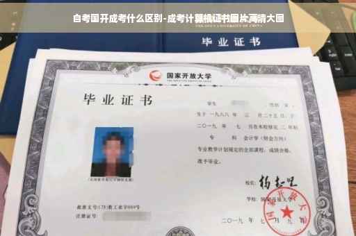 自考国开成考什么区别-成考计算机证书图片高清大图