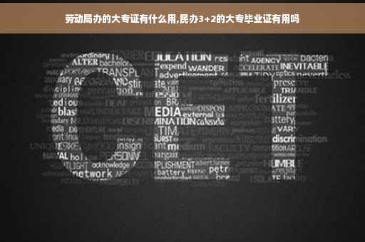 劳动局办的大专证有什么用,民办3+2的大专毕业证有用吗